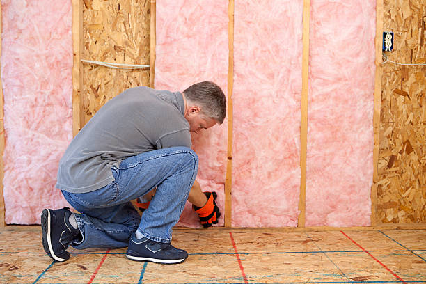 Best Cellulose Insulation in Johnson Creek, WI